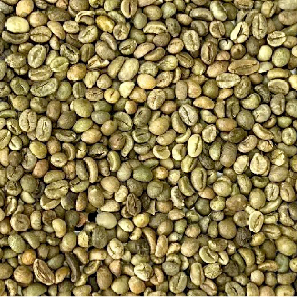 Robusta S18 Wet Polished