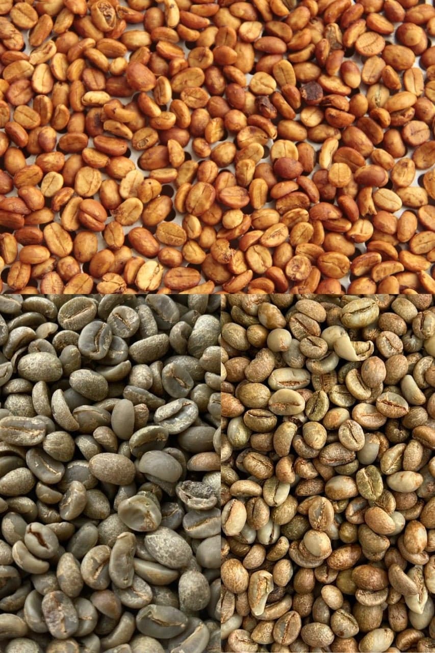 Sustainable Sourcing: VCG's 500-Farm Cooperative Network
