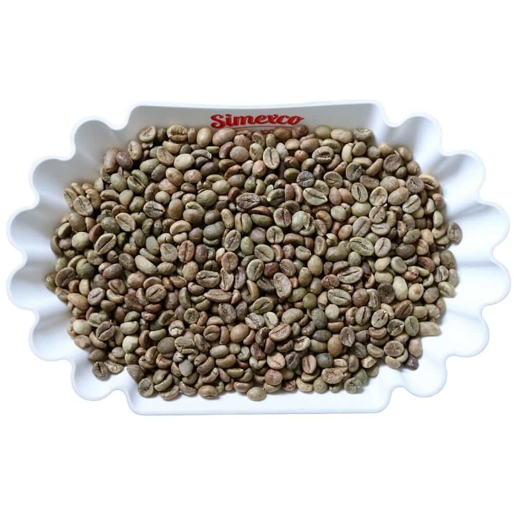 Culi Robusta S18