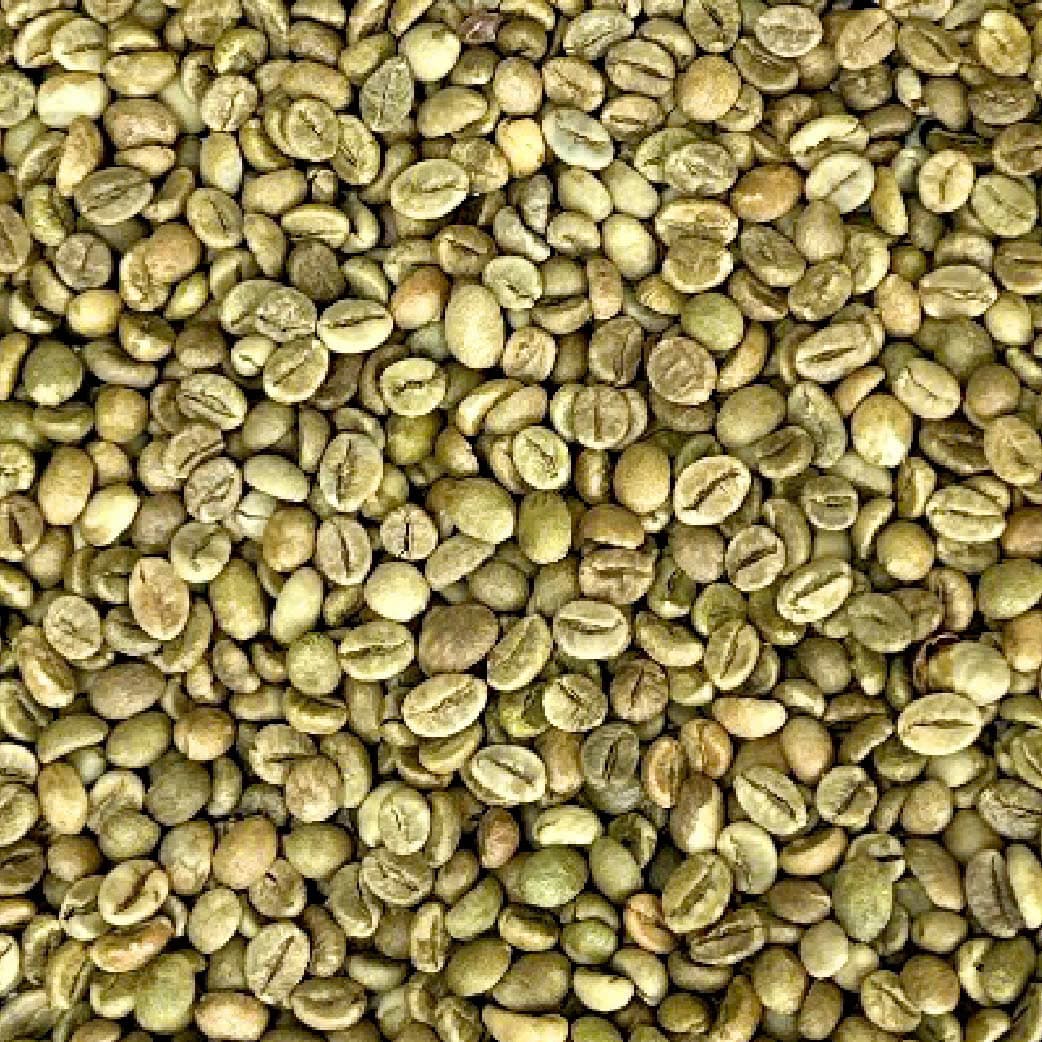 Robusta S13 Wet Polished