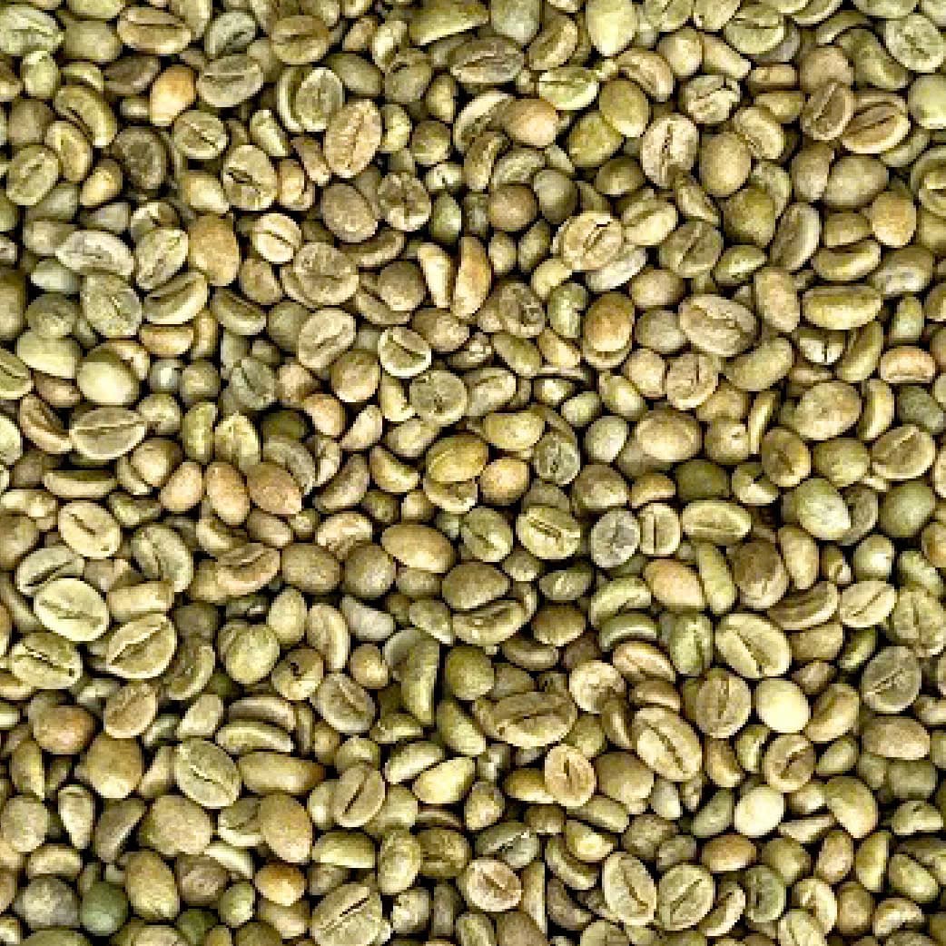 Understanding Vietnamese Robusta Grading: S13, S16, S18