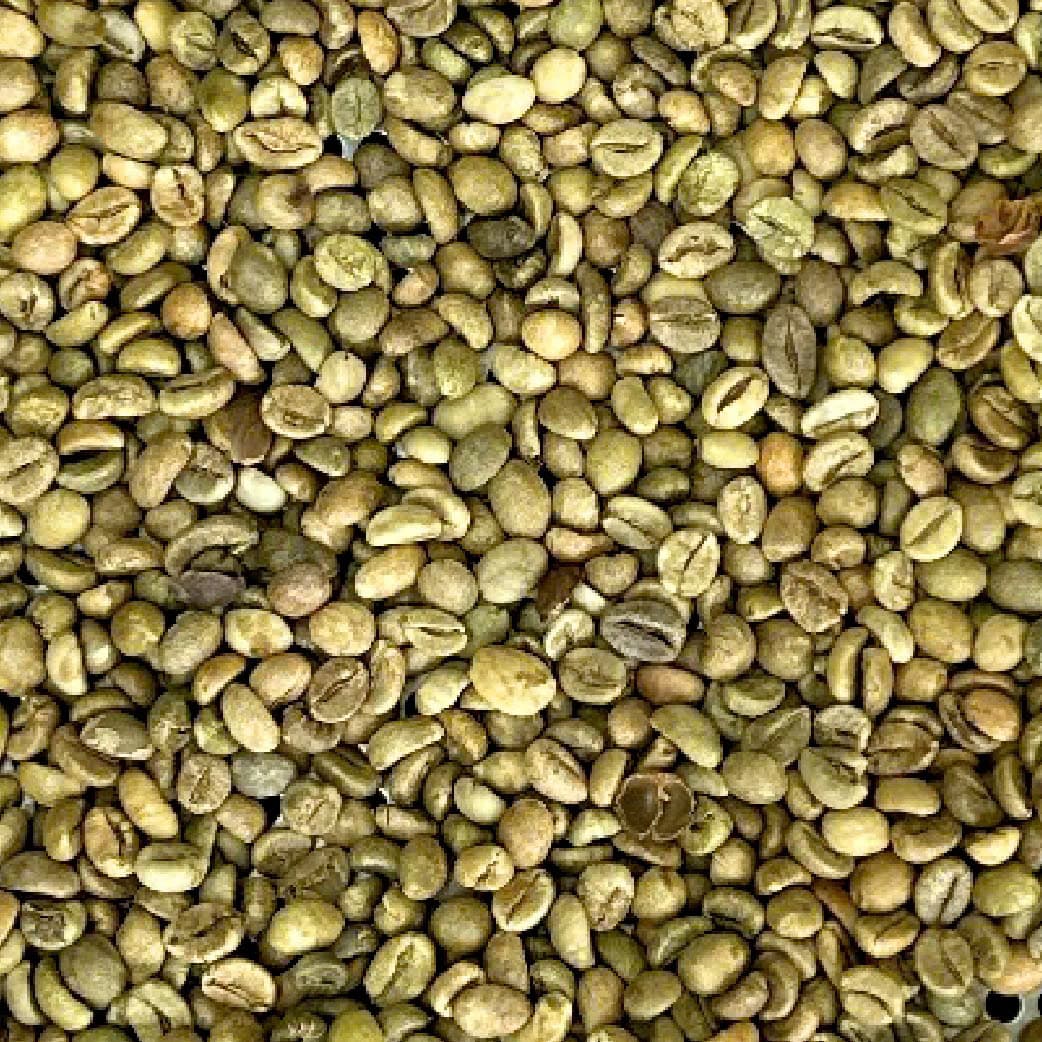 Vietnam Coffee Exports Hit Record High in Q1 2026